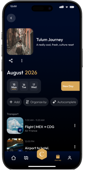 Step interface preview